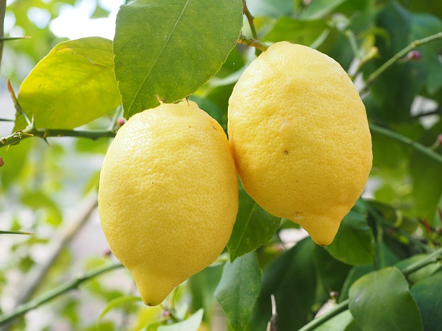 lemon-1117568_640
